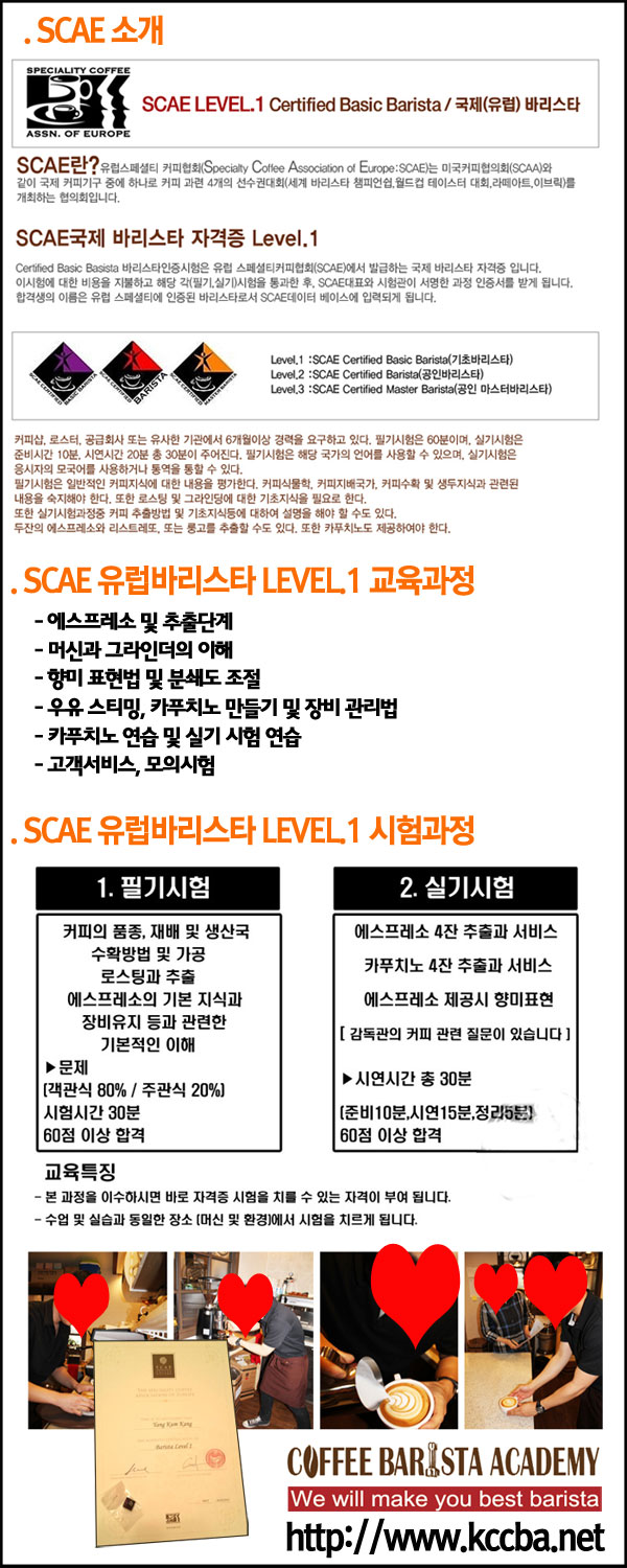scae_intro_width_600.jpg
